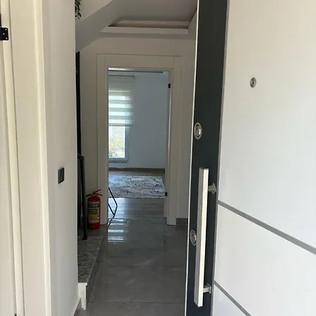 The Moon וילה דלמן